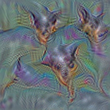 n02086910 papillon